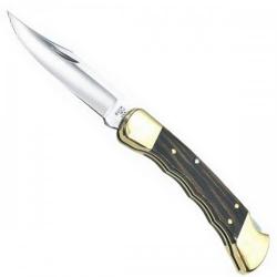 Buck Folding Hunter (110BRSB)