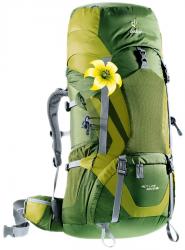 Рюкзак Deuter ACT Lite 60+10 SL цвет 2250 pine-moss Картинка Рюкзак Deuter ACT Lite 60+10 SL цвет 2250 pine-moss