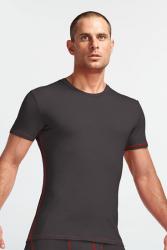 Футболка Icebreaker BF 150 Anatomica SS Crewe MEN monsoon/heat S Картинка Футболка Icebreaker BF 150 Anatomica SS Crewe MEN monsoon/heat S