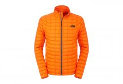 Картинка Куртка The North Face M THERMBL FZ JKT EU