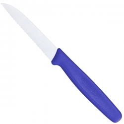 Нож кухонный Victorinox Standart 8 см, серрейтор, синий Картинка Нож кухонный Victorinox Standart 8 см, серрейтор, синий