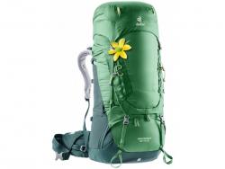 Рюкзак Deuter 2019 Aircontact 60 + 10 SL цвет 2238 leaf-forest Картинка Рюкзак Deuter 2019 Aircontact 60 + 10 SL цвет 2238 leaf-forest