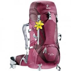 Рюкзак Deuter ACT Lite 35+10 SL цвет 5530 blackberry-aubergine Картинка Рюкзак Deuter ACT Lite 35+10 SL цвет 5530 blackberry-aubergine