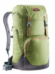 Картинка Рюкзак Deuter Walker 24 цвет 2443 pine-graphite