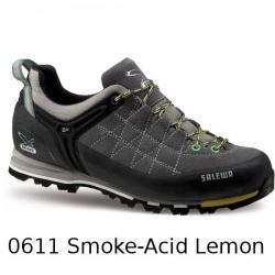 Картинка Salewa MS MTN Trainer (2014)