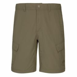 Штаны The North Face M HORIZON SHORT - EU (T0CF72)