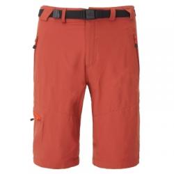 Штаны The North Face M PASEO SHORT (T0A0UL)