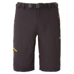 Картинка Штаны The North Face M PASEO SHORT