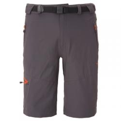 Штаны The North Face M PASEO SHORT (T0A0UL)