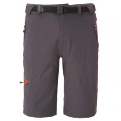 Картинка Штаны The North Face M PASEO SHORT