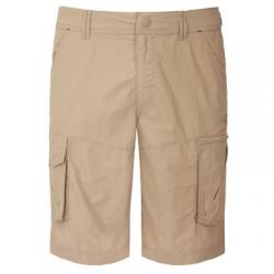 Штаны The North Face M TRIBERG SHORT (T0CEE0)