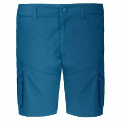 Картинка Штаны The North Face W TRIBERG SHORT