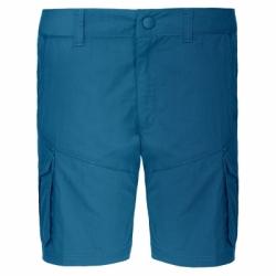 Картинка Штаны The North Face W TRIBERG SHORT
