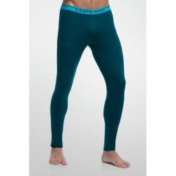 Картинка Термобрюки Icebreaker Apex Leggings MEN night/aegean M