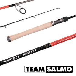 Вудилище спінінгове Team Salmo BALLIST 7-28g/1.80(5,9 Картинка Вудилище спінінгове Team Salmo BALLIST 7-28g/1.80(5,9