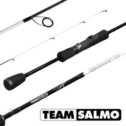 Вудилище спінінгове Team Salmo TIOGA 1-8/1.98(6.5 Картинка Вудилище спінінгове Team Salmo TIOGA 1-8/1.98(6.5