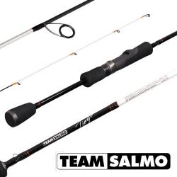 Картинка Вудилище спінінгове Team Salmo TIOGA 1-8/1.98(6.5