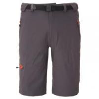 Штаны The North Face M PASEO SHORT